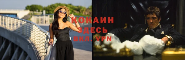 apvp Анива