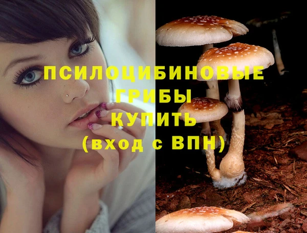 кокс Волоколамск