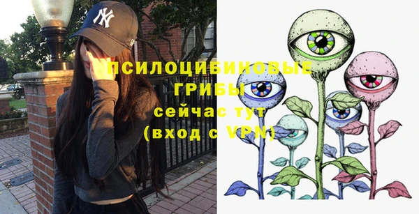 a pvp Володарск