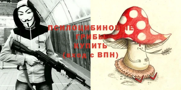 a pvp Володарск